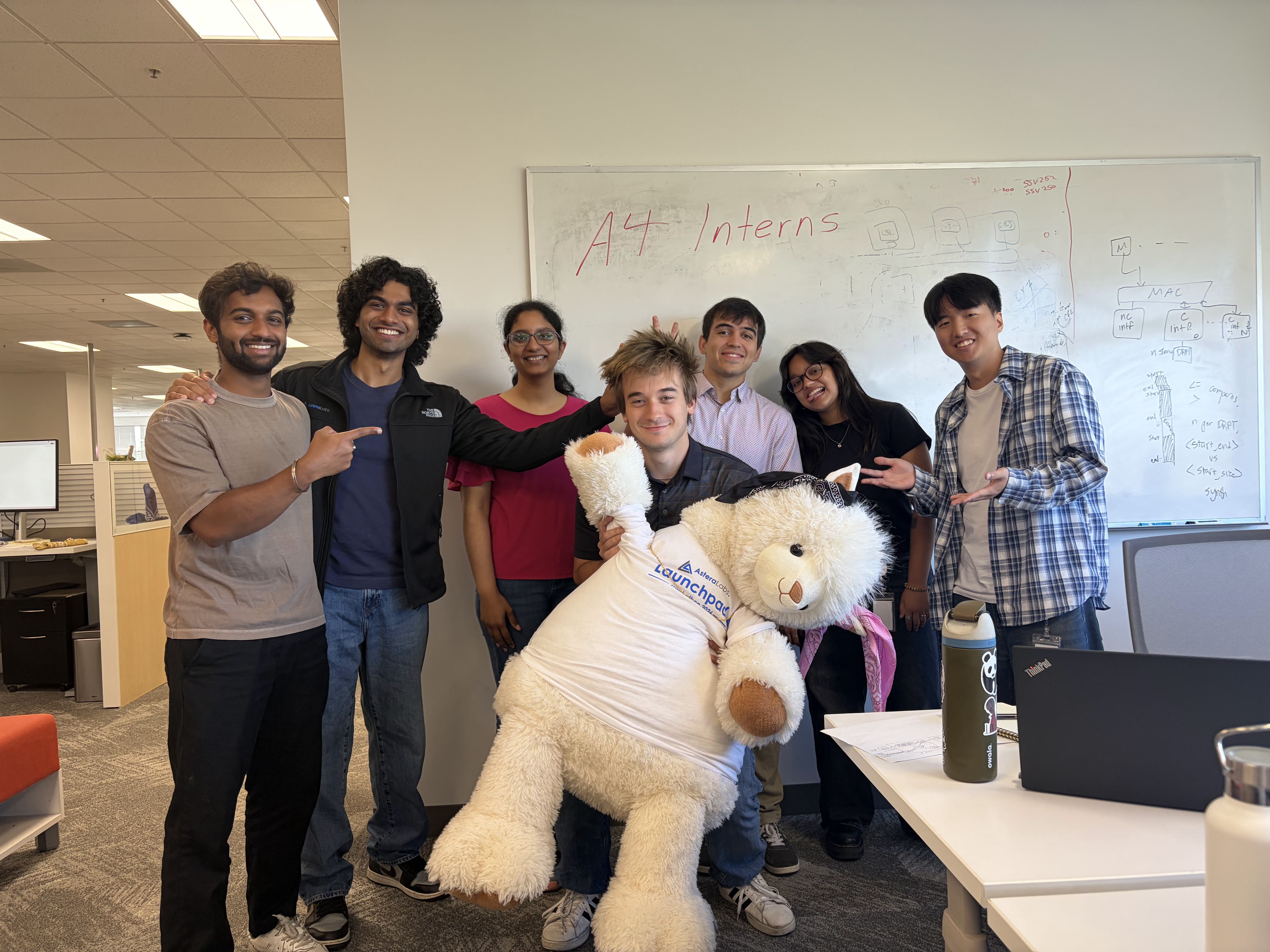 ALAB DD/DV Interns 2026